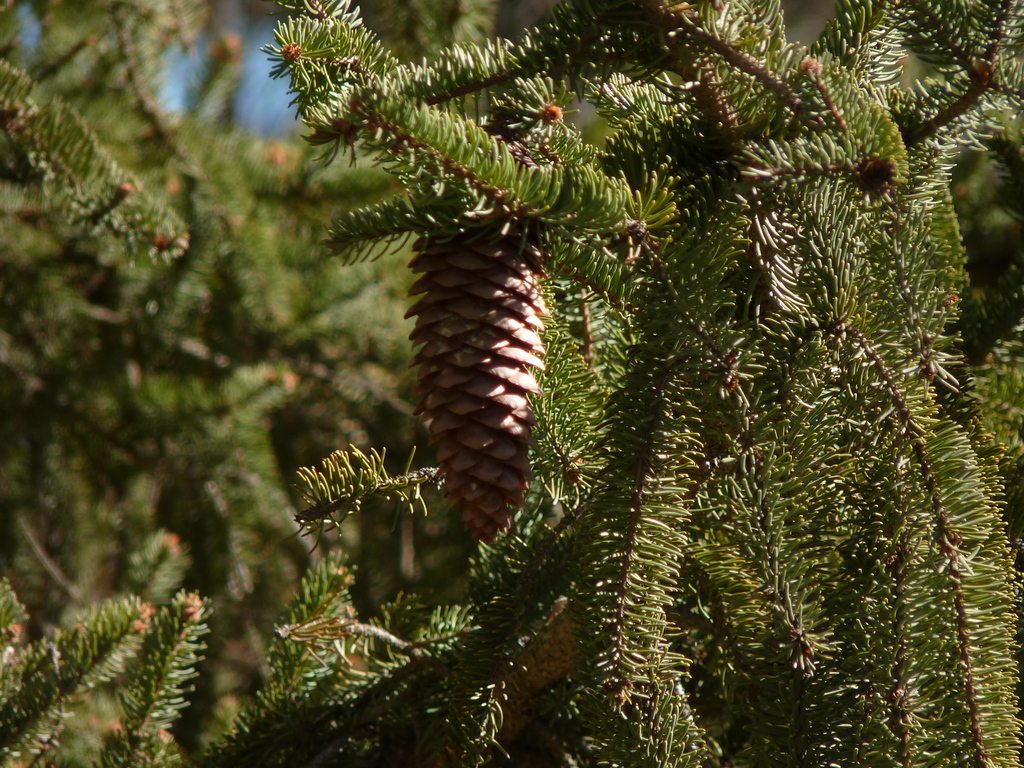 No s'ha trobat l'arxiu